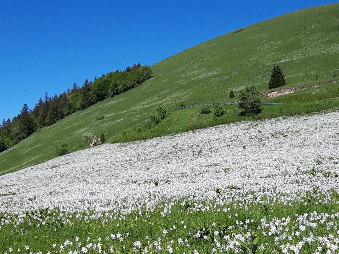 Valreley, Chambres Et Table D'Hotes Eco-Friendly Avec Bain Nordique Au Sud Du Massif Du Jura Champagne-en-Valromey 외부 사진